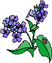 img1.gif