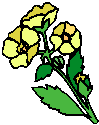 img1.gif