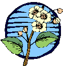 img1.gif