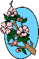 img1.gif