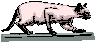 img1.gif
